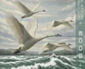 El Altar Del Holocausto anuncia nuevo disco «Ecos»